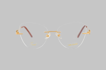 Eye Spy Gold Cat Frame